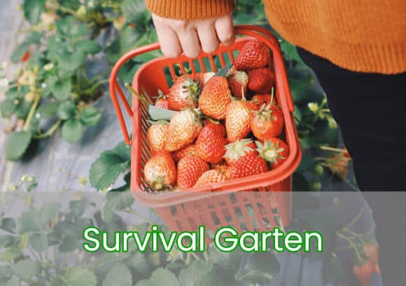 Survival Garten Überlebensgarten