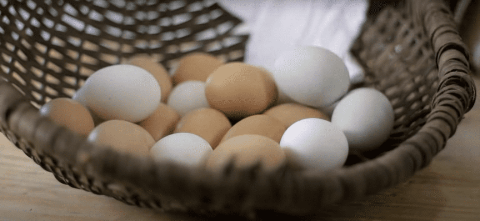 Kann Man Frisch Gelegte Hühnereier Sofort Essen